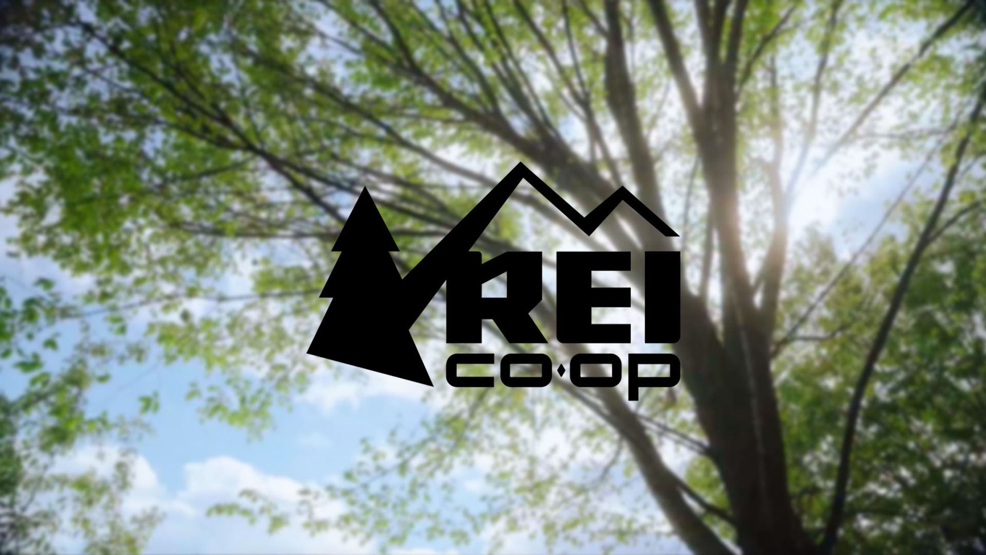 REI - Better Is Out There